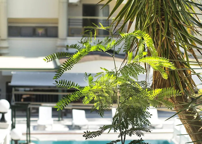 Temple 호텔 디딤